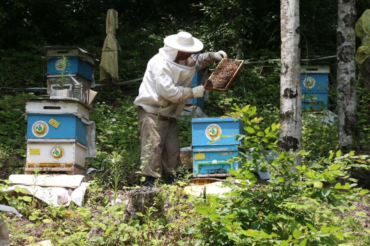Muğla'daki Orman Köylülerine ORKÖY Destekleri Sürüyor 2